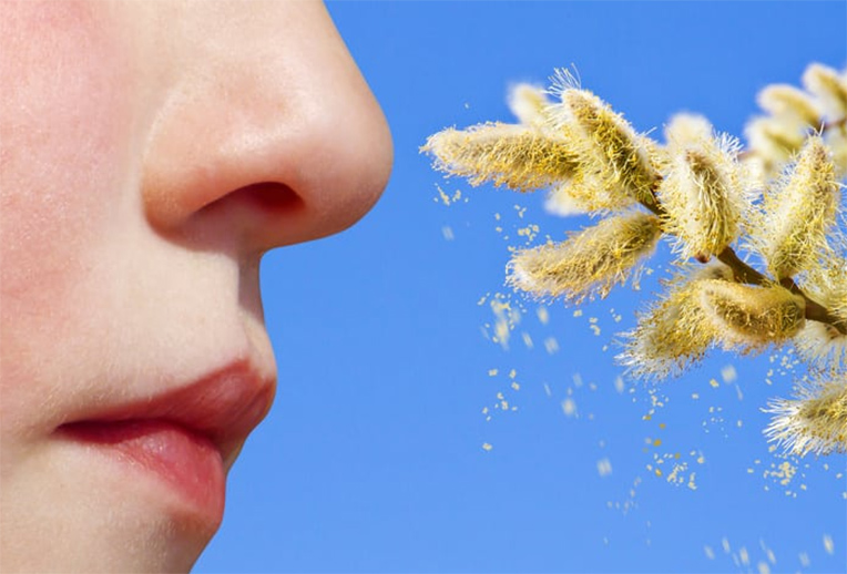 Вдыхание пыльцы